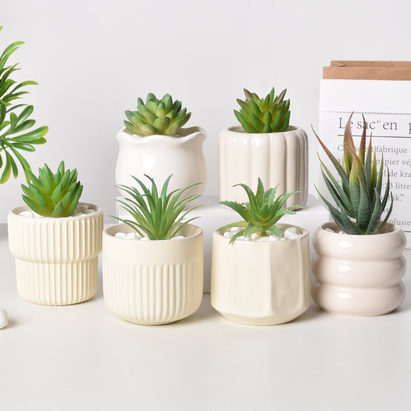 Echeveria Succulent - Pot Tanaman Sukulen Keramik Self-Watering, Pot