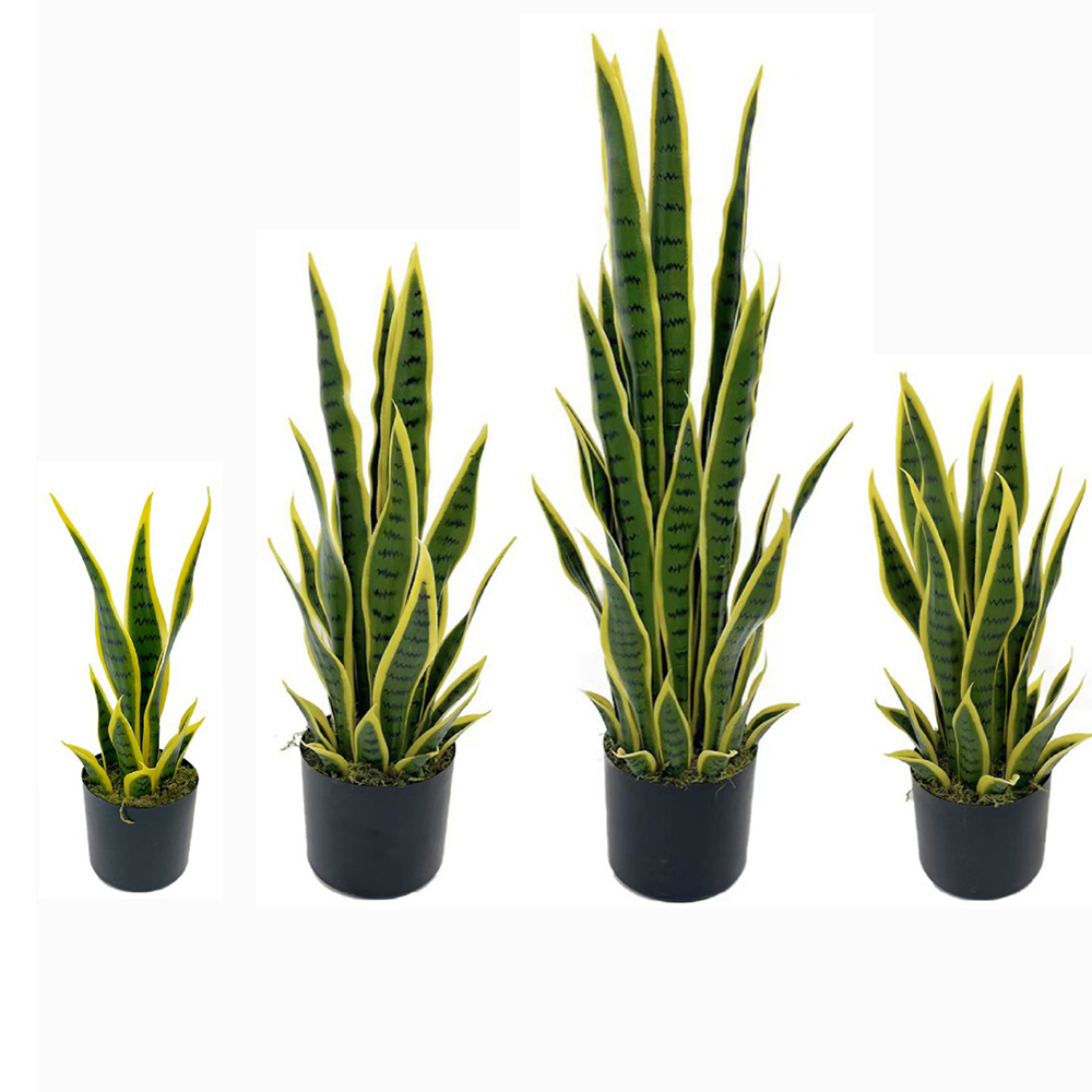 Tanaman Sansevieria Buatan 40- - Ficus Lyrata Tree ulasan dan harga
